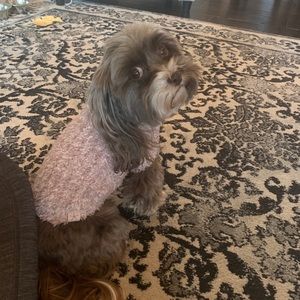 Meet your Posher, Ellen